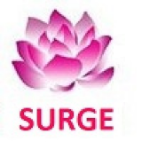 SURGE SOFTWARE SOLUTIONS, INC.