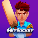 Hitwicket