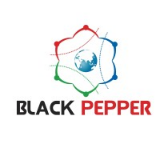 BlackPepper Technologies Pvt. Ltd.