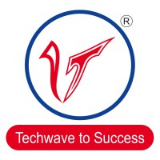 VAPS Technosoft Pvt. Ltd.