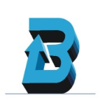 Brilliant Info Systems Pvt. Ltd.