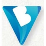 BVictorious Management Consultancy