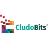 CludoBits IT Solutions Pvt. Ltd.