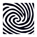 Wolves Creata Pvt. Ltd.