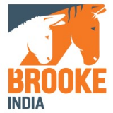 Brooke Hospital for Animals
