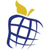 Newt Global Consulting LLC
