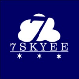 7Skyee Consultancy Private limited