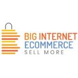 Big Internet Seller Services Inc