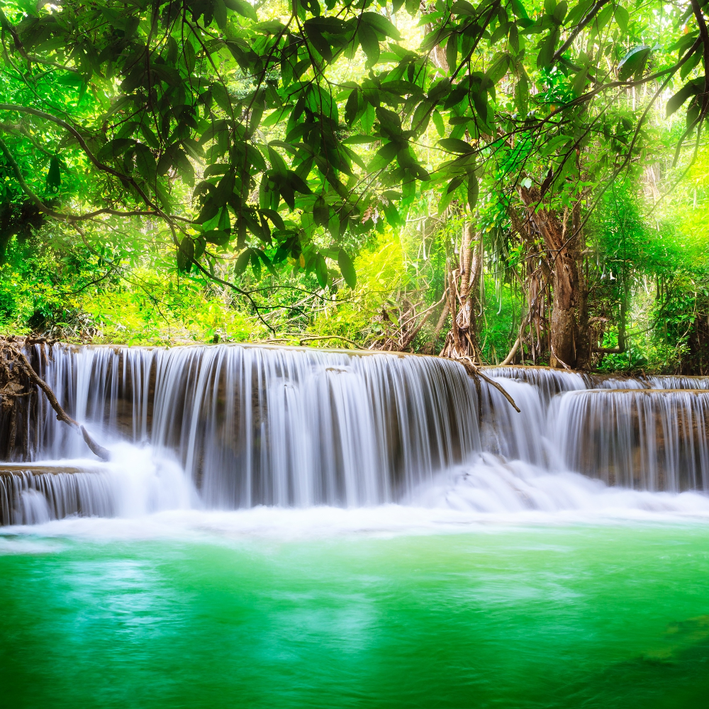 Nikhil Travels Pvt Ltd.