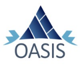 Oasis Software Solutions Pune