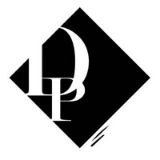 Digital Patang Pvt. Ltd. - Flying Digitally