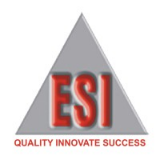 Engineering Services International