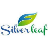 Silver Leaf Solutions