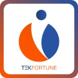 TEKFORTUNE INC