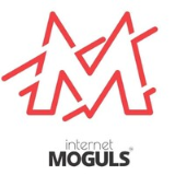 Internet Moguls