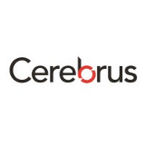 Cerebrus Consultants