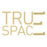 TrueSpace Leasing Solutions Pvt. Ltd.