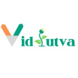 Vidyutva