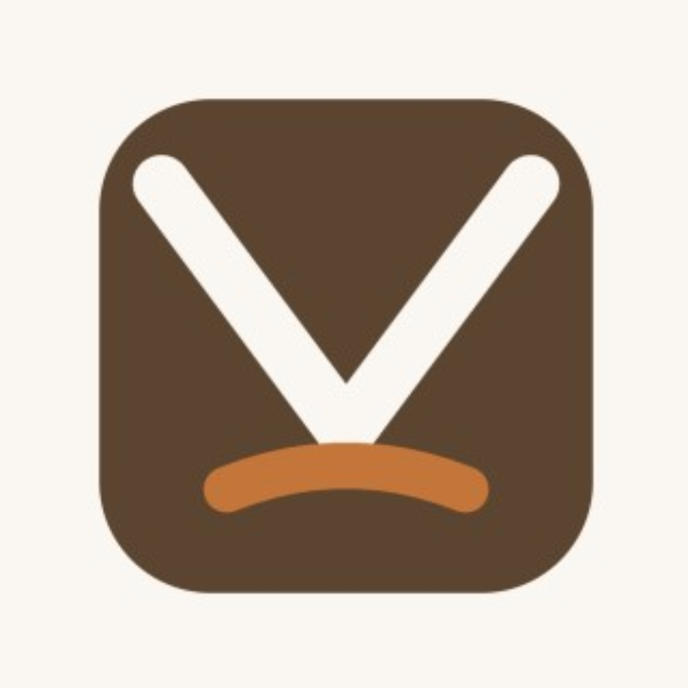 Virtuflex Support Consulting