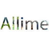 Allime Tech Solutions