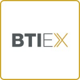 BTI Executive Search