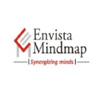 Envista Mindmap Services Pvt. Ltd.