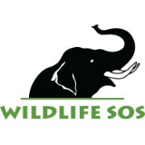 Wildlife SOS