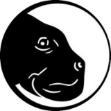 DUGONG INTERNATIONAL