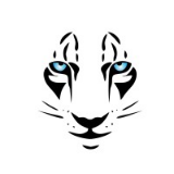 WildTigers Technologies Private Limited