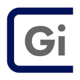 Gi Group Holding