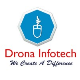 Drona Infotech IT Services Pvt. Ltd.