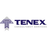 Tenex Consultancy Services