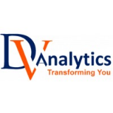 DV Analytics