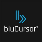 bluCursor Infotech Pvt. Ltd.