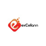 Excellann Services