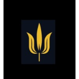 Padma Group Holding Corporation