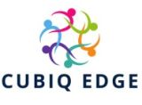 Cubiq Edge Business Consulting Private Limited