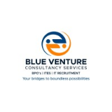 Blue Venture Consultancy Services